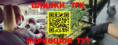 прущие крисы Татарск