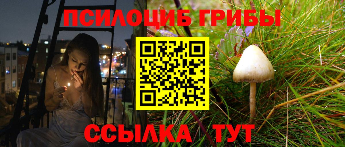 Галлюциногенные грибы мицелий  Галлюциногенные грибы прущие грибы  Вход с VPN  Миасс 